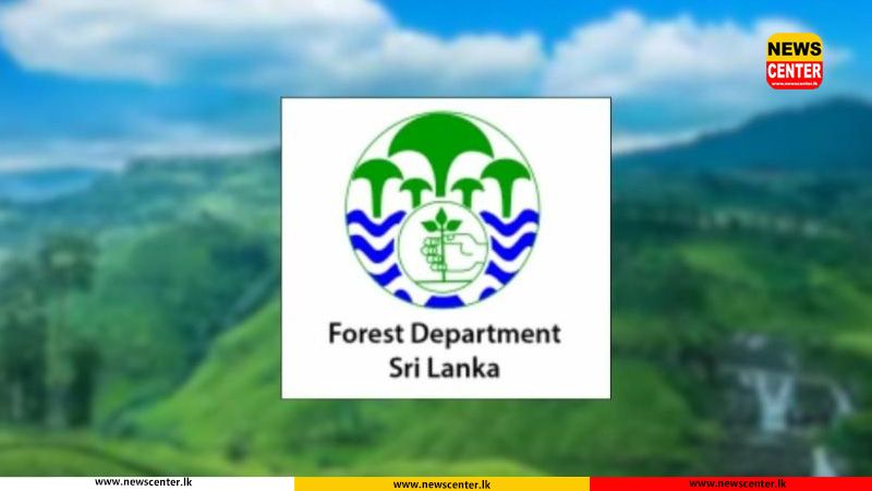 1,500 hectares in Nuwara Eliya to be gazetted as protected areas