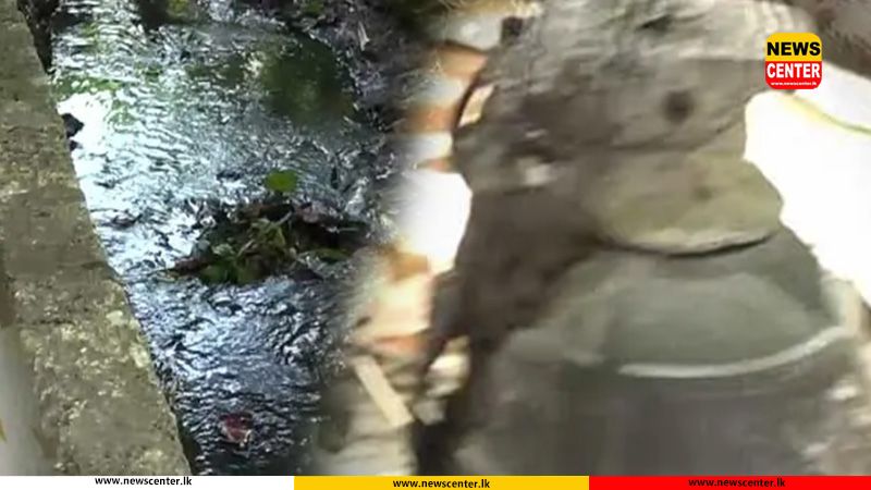 Hand grenade found near SJB MP Kavinda Jayawardhana’s residence