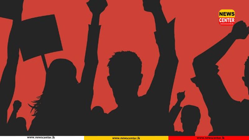 University lecturers to launch one-day strike