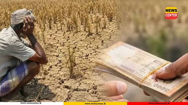 වියළි කාලගුණයෙන් හානි වූ වගාවන් සඳහා වන්දි ගෙවීම අද සිට