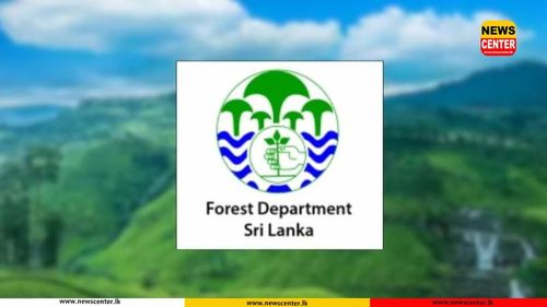 1,500 hectares in Nuwara Eliya to be gazetted as protected areas