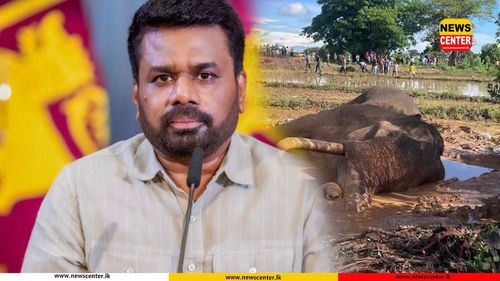 President appoints expert committee to investigate death of ‘Kawanthissa’