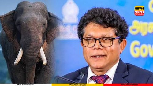 Independent investigation to be conducted into tusker Kawanthissa’s death – Minister