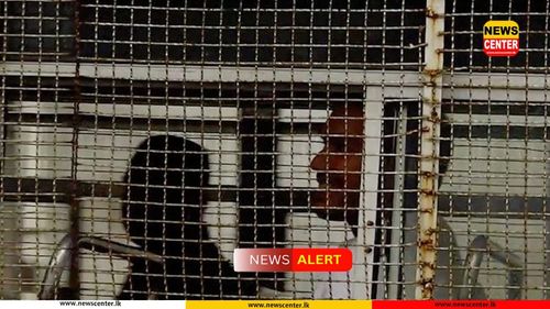 MP Namal Rajapaksa brought before court