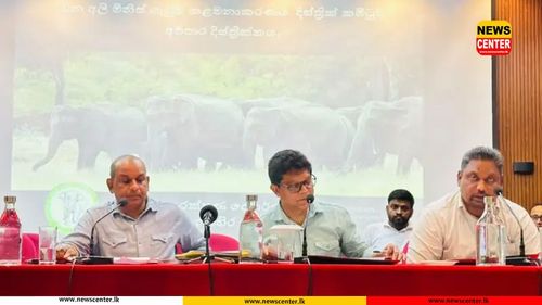 අම්පාර දිස්ත්‍රික්කයේ අලි-මිනිස් ගැටුමට කඩිනම් හා තිරසර විසඳුම්