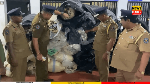  වියළි ගංජා කිලෝග්‍රෑම් 784ක් සමඟ සැකකරුවෙකු අත්අඩංගුවට