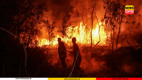  ඉන්දුනීසියාවේ දරුණුතම ලැව්ගිනි තත්ත්වයක් - සිව්දෙනෙක් මරුට